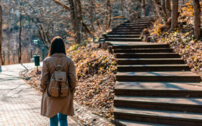 The Clear Path Series: 9 Clear Paths to Lesser Church Goals