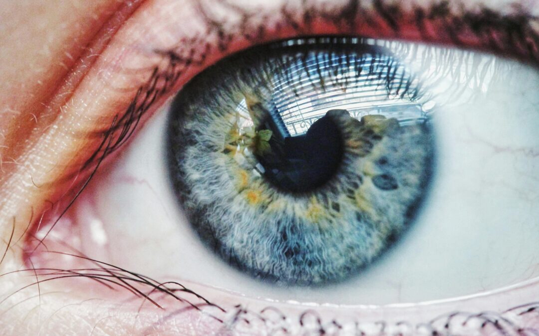 Breaking News: My First New Book in 5 Years Tackles Leadership Blindspots