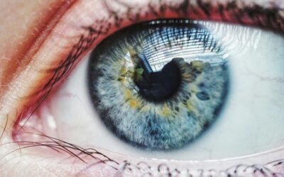 Breaking News: My First New Book in 5 Years Tackles Leadership Blindspots